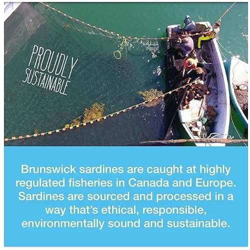 Brunswick Sardine Fillets Seafood Snacks Golden Smoked 92g, 18 Count - Canned Sardines - High In Protein - Contains Omega-3 - Excellent Source Of Vitamin D - Ready To Eat - Naturally Smoked — view 5