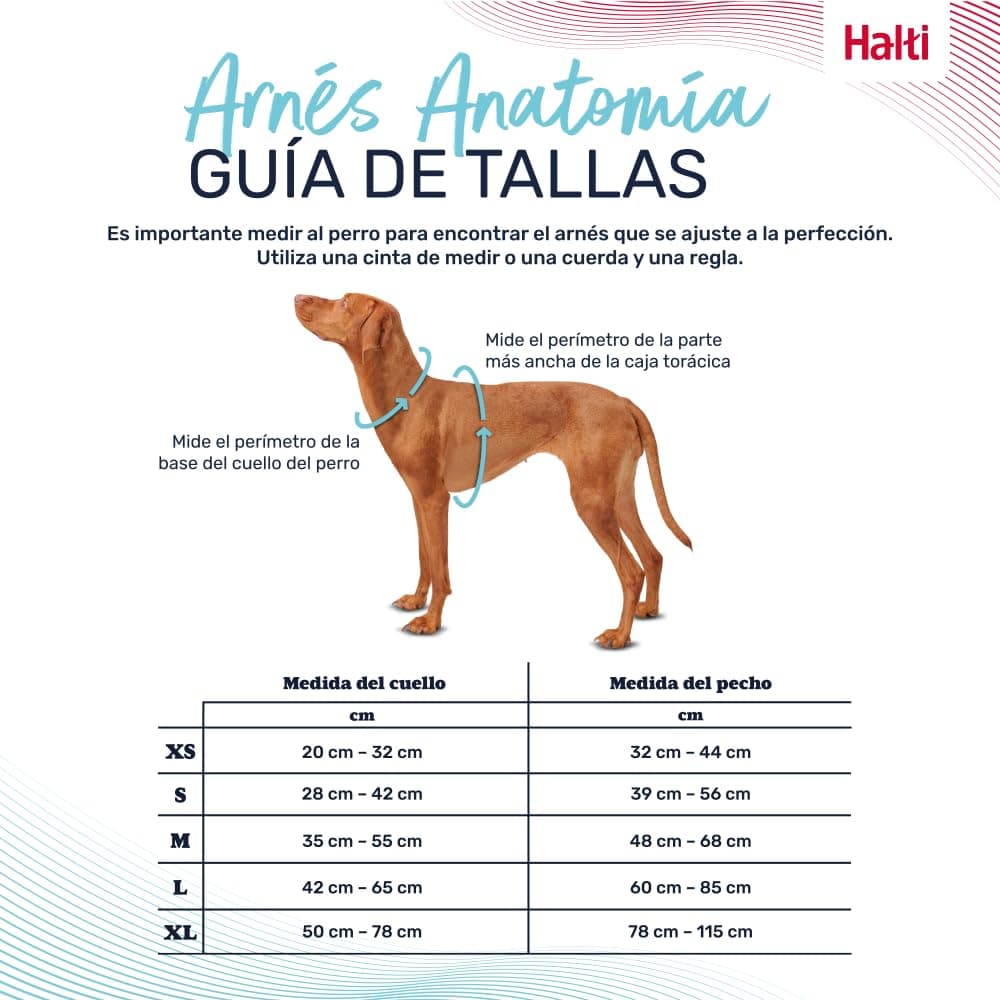Arnés de perro HALTI Anatomy con asa - Proporciona libertad de movimiento a tu perro para que pasee cómodamente. 3 puntos de enganche y acolchado de neopreno y ajustable (Talla XS, Verde Azulado) — view 4