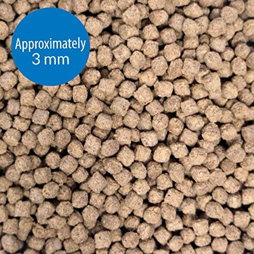 API BOTTOM FEEDER PELLETS WITH SQUID Fish Food 7.9-Ounce Container — view 2