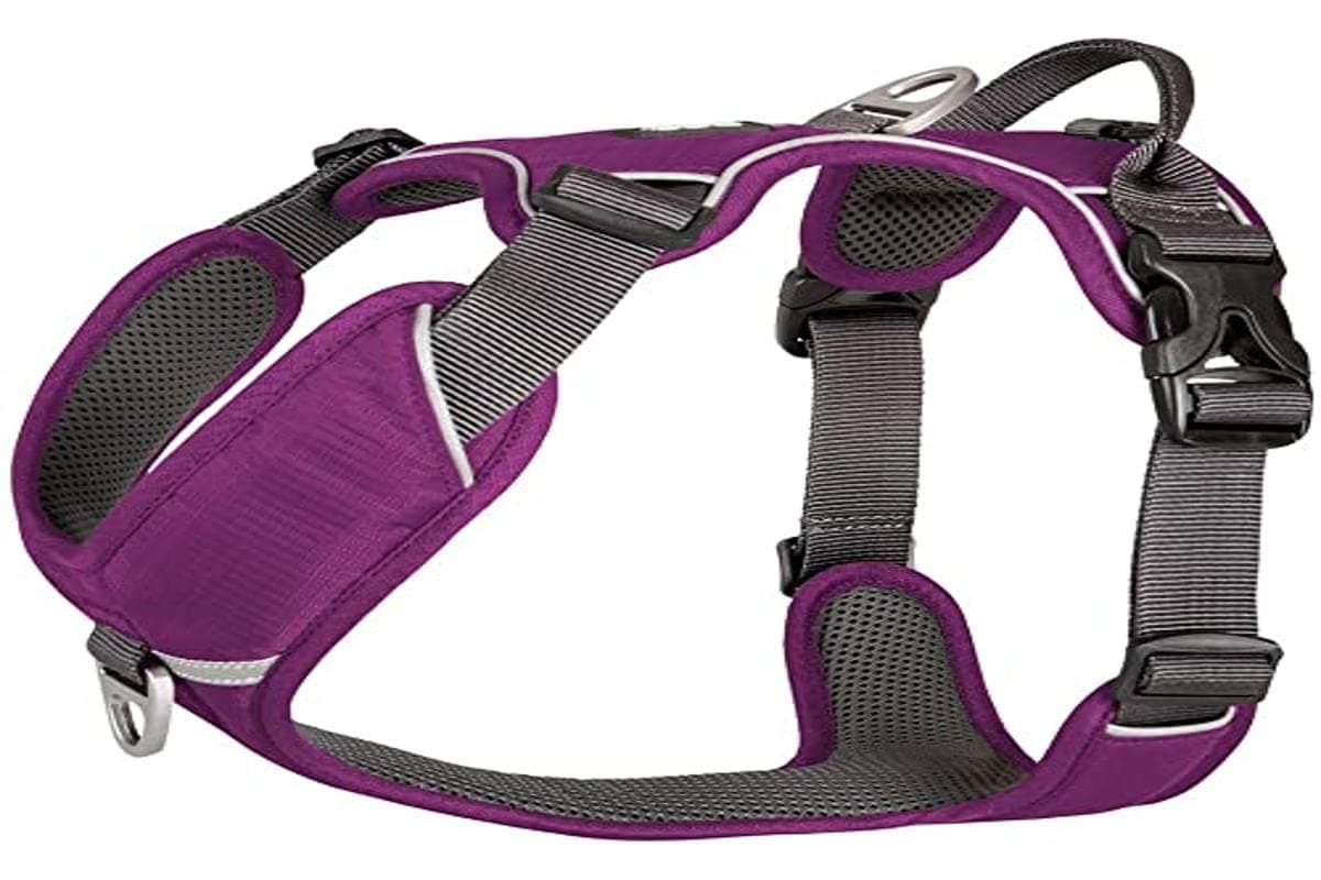 DOG Copenhagen Hundegeschirr V2 Comfort Walk (Pro) Black Talla XS — view 5