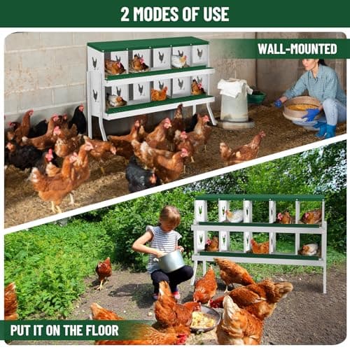 GarveeLife 8 Holes Chicken Nesting Box with Metal Leg, Wall-Mounted & Floorstanding Galvanized Steel Nesting Boxes for Chickens Ducks Geese, Easy to Collect Eggs, for Backyard Farm, Green — view 4