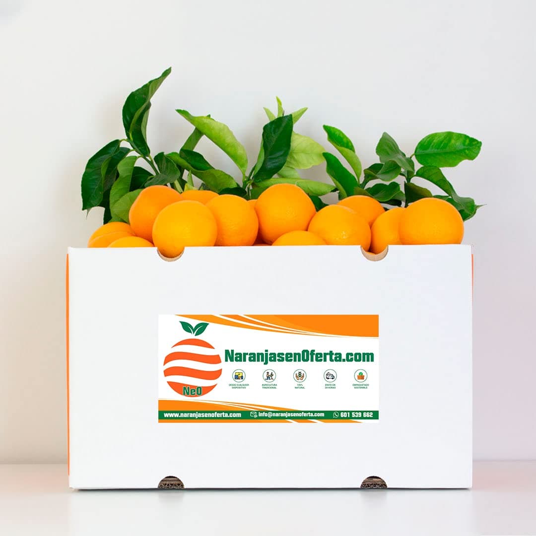 NARANJAS DE MESA DE VALENCIA, DEL ÁRBOL A TU MESA EN 24 H. (10 KILOS)