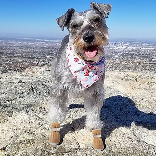 QUMY 4PCS Dog Shoes for Small Dogs, Hot Pavement Summer Puppy Dog Boots & Paw Protectors with Soft Anti-Slip Rubber Sole, Mesh Breathable Dog Booties for Hardfloors, Walking Running Khaki Size 2 — view 5