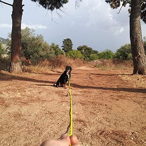 Waterproof Long Dog Leash Recall Training Lead 5 10 16 30 50 Foot for Large Medium Small Dogs Outdoor Training Walking Playing and Camping — view 6