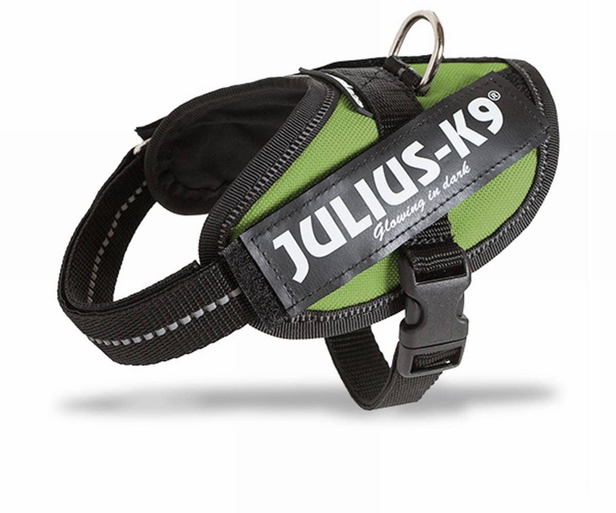 Julius-K9, 16IDC-AM-M, IDC Powerharness, dog harness, Size: Mini, Aquamarine — view 117