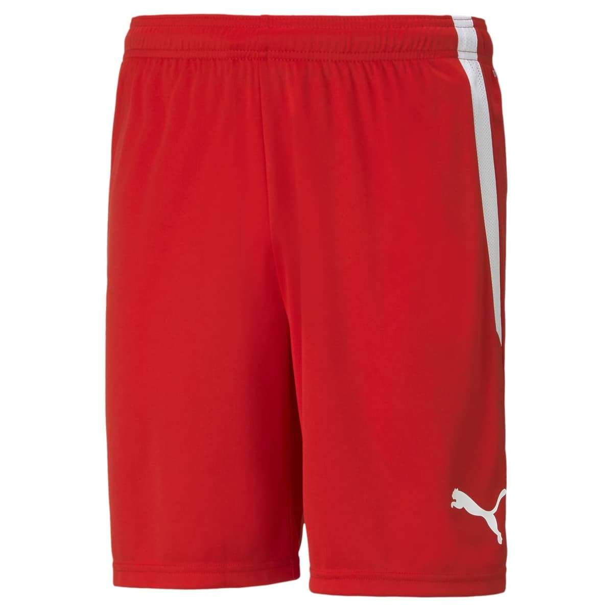 Puma Teamliga Shorts - Pantalones Cortos Hombre — view 17