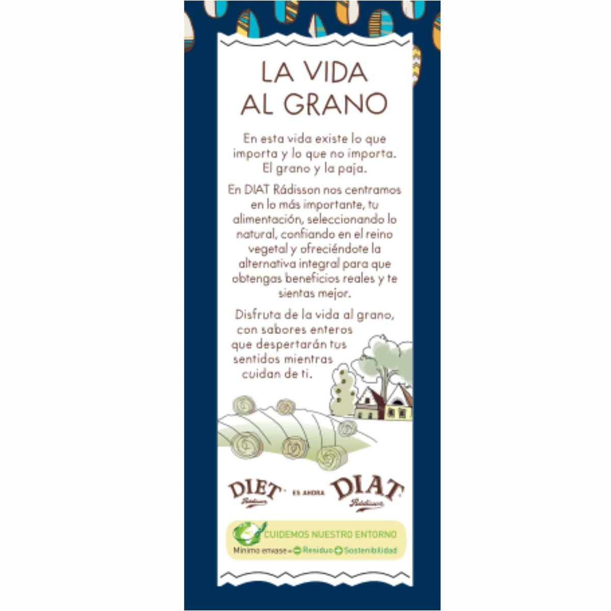 DIAT Radisson - Copos Finos de Avena integral Sin Gluten | Alto Contenido en Fibra | Rico en Betaglucanos | Bajo en Grasas Saturadas | Sin Azúcares añadidos — view 3
