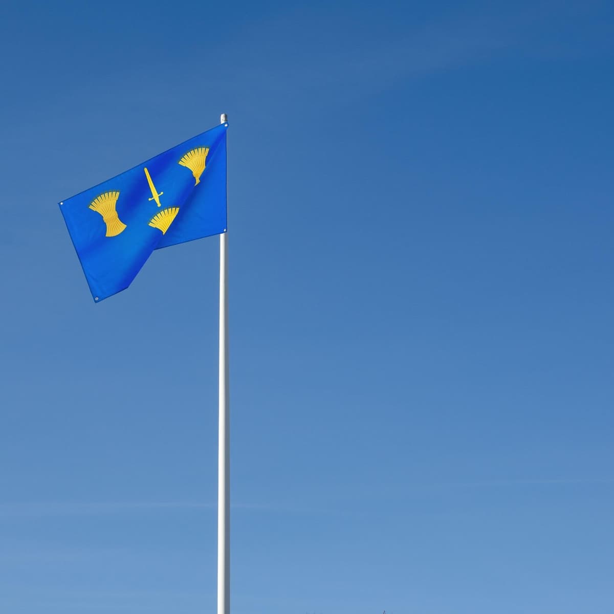 Runesol Cornwall Flag - 91x152cm, 3ft x 5ft, Cornish Flag, 4 Grommets, Eyelet in Every Corner, Premium Quality, Inside & Outside Use, Vivid Colours — view 1125