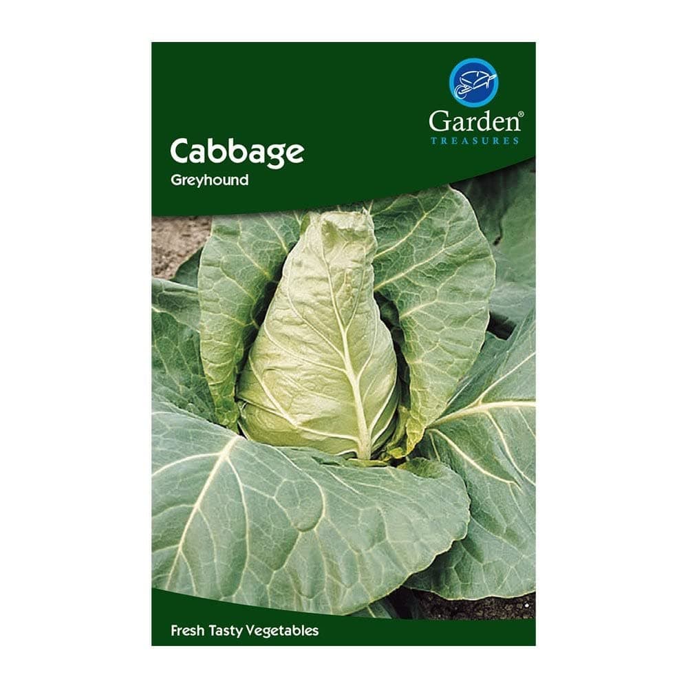 Garden Treasures Fresh Herbs Vegetable Fruit Seeds Salad Grow Your Own Indoor Outdoor (Broccoli Autumn Calabrese) — view 2