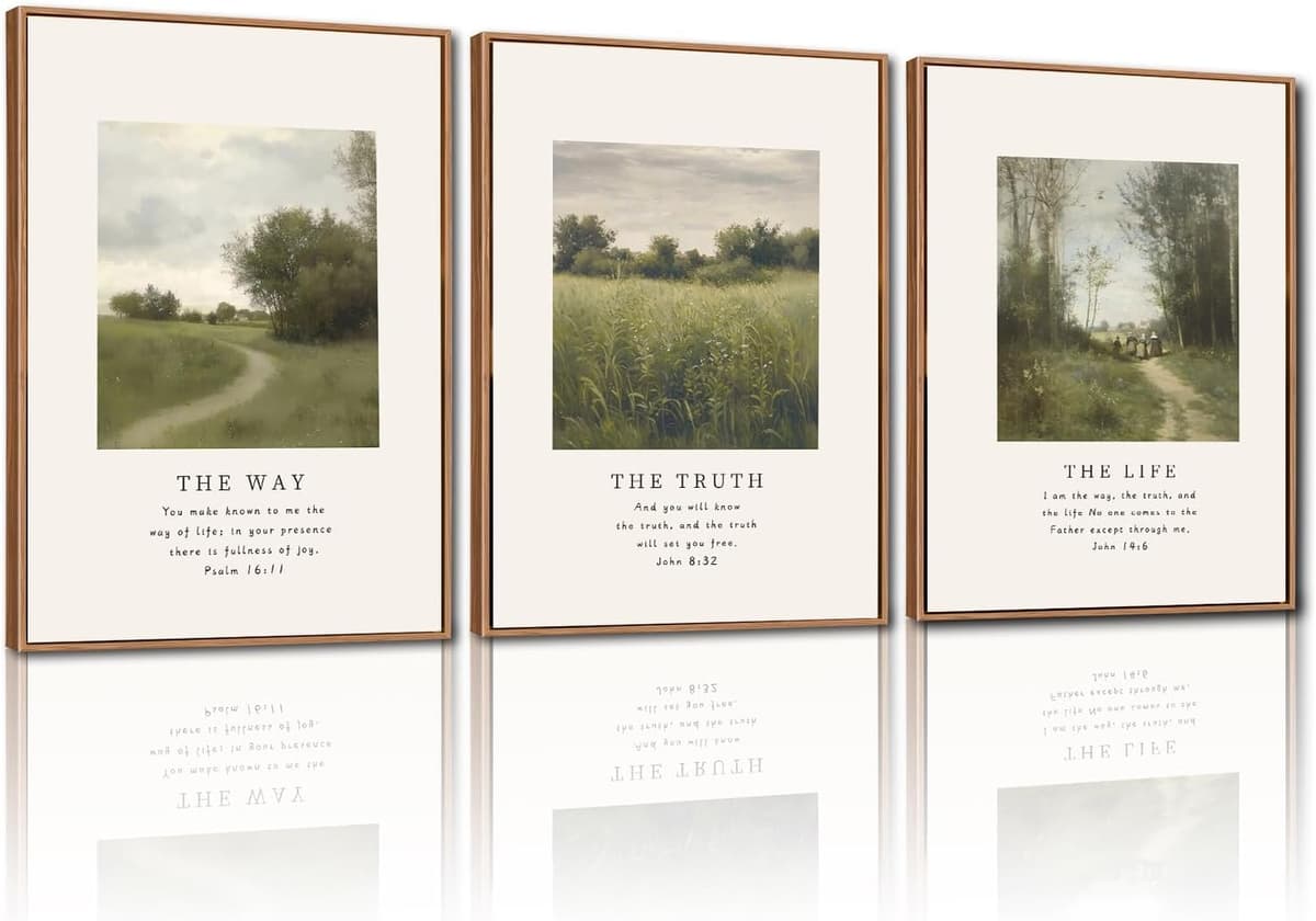 TOARTi Boho Framed Canvas Wall Art Prints, Set of 3 Mid Century Modern Wall Decor, Nature Plants Desert Sun Art Paintings, Bohemian Artwork for Living Room, Bedroom, Dining Room, Office - 12x16 x3 — view 10