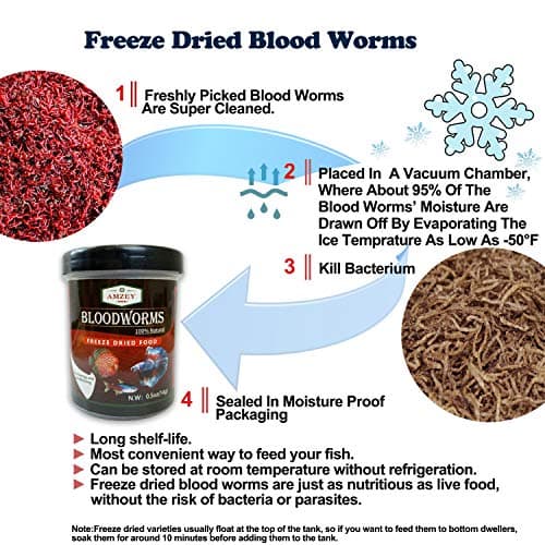 Amzey Blood Worms 0.5 oz -100% Natural Freeze Dried Blood Worms - Aquarium High Protein Food for Betta Fish, Goldfish, Cichlid, Guppy, Discus, Turtle — view 2