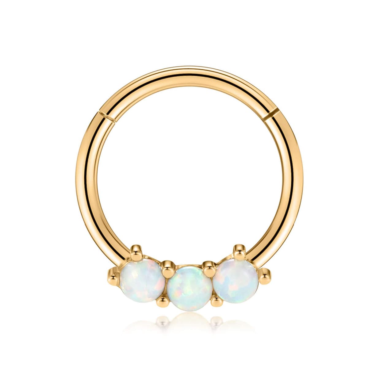 hengkaixuan 16G Septum Nose Rings Hoop Daith Earrings Surgical Steel Septum Clicker Ring Hirned Segment Seamless Clicker Ring Conch Hoop Ring Unisex Earrings Hoop Daith Piercing Jewellery — view 31