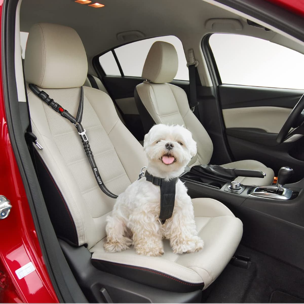 Comfortable Dog Seat Belt Harness for Car - 2-in-1 Leash and Restraint Secures to Headrest. Adjustable Bungee, Strong, Durable, 360 Degree Swivel Attach Won't Twist, Reflective, Easy to Use (Black) — view 2