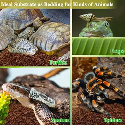 ZeeDix 1 Pack Coconut Fiber Substrate, 100% Organic Coconut Husk Coco Coir Brick Terrarium Bedding for Reptiles, Tortoise, Bearded Dragon, Leopard Gecko, Snake, Hermit Crabs, Frogs, Tarantula — view 4