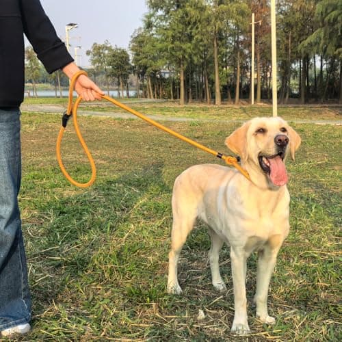 MORXIL Slip Leads for Dogs, Heavy Duty No Pull Dog Training Leash, 6FT Strong Nylon Rope Slip Leash for Large Medium Dogs, Durable Comfortable Pet Control Leashes (Yellow) — view 3