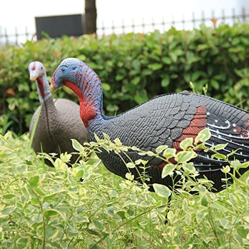 TargetEvo Turkey Decoys for Hunting, 2 Pack Hen and Jake Combo Decoys with Stakes Carry Bag Collapsible Lightweight — view 2