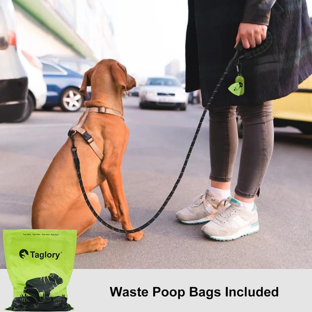 Taglory Correa de Perro, 1,2 m Correa de Fuerte de Perro para Perros Medianos y Grandes con Mango Acolchado Suave y Hilos Reflectantes, Negro — view 2