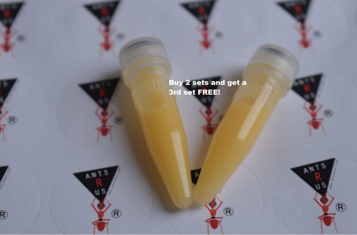AntsRus Protein Shake for live queen ant and ants! (2 vials) — view 2