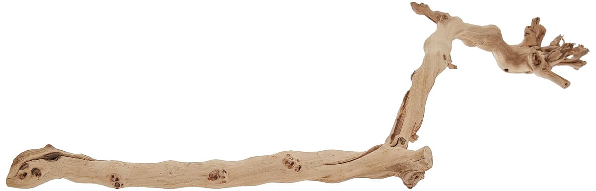 Exo Terra Forest Branch, Small (Exact Size May Vary) — view 4