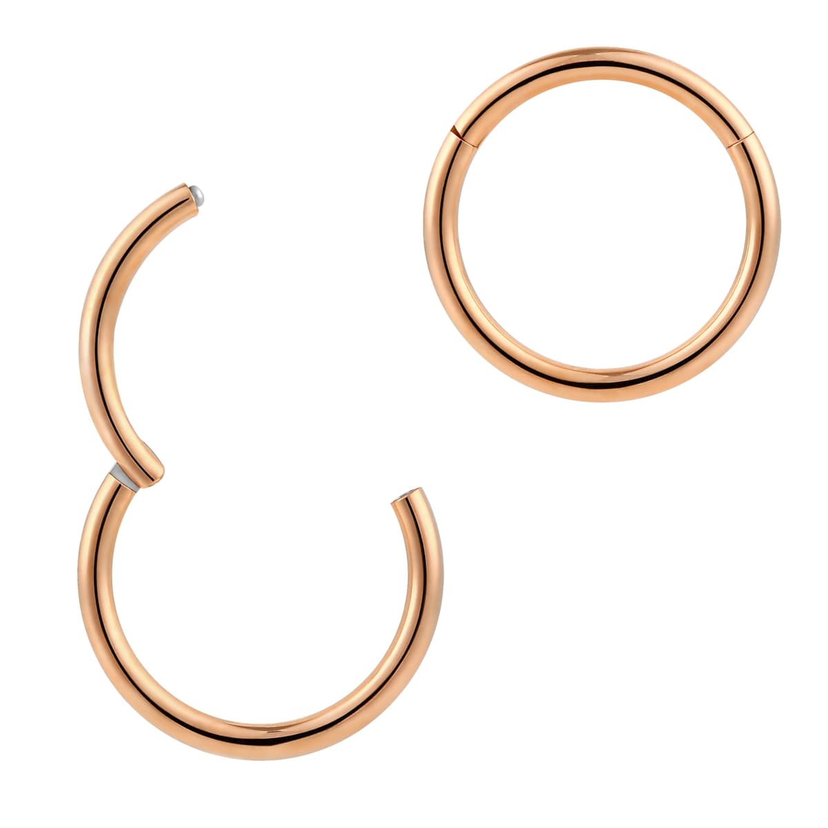 365 SLEEPERS 1pc Titanium Implant Grade Nose Rings 20G 18G 16G 14G 12G 10G 8G 6G Septum Hinged Segment Ring Body Piercing Jewellery Hoop Lip Rings Helix Cartilage Rook Earrings Nickel Free — view 14