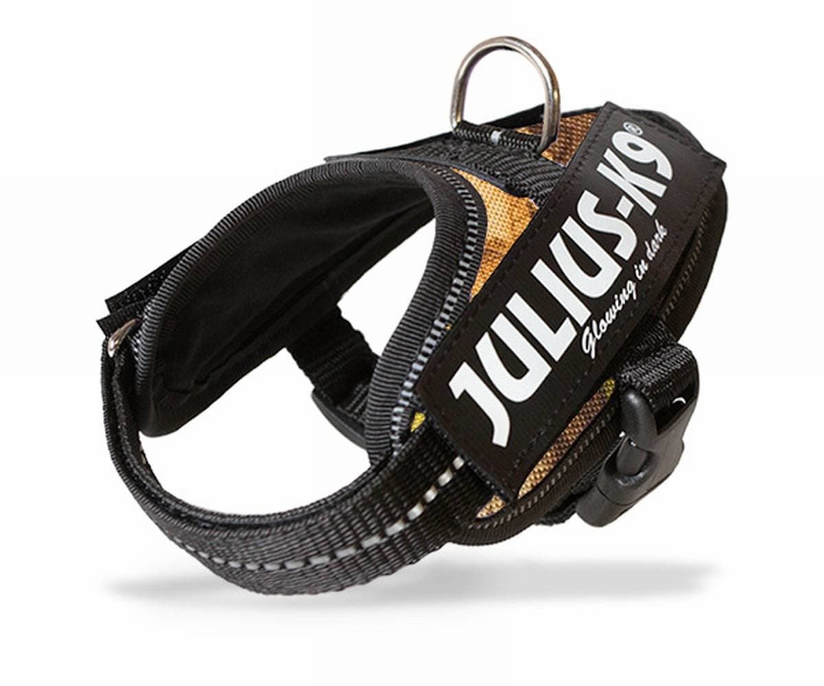 Julius-K9, 16IDC-AM-M, IDC Powerharness, dog harness, Size: Mini, Aquamarine — view 97