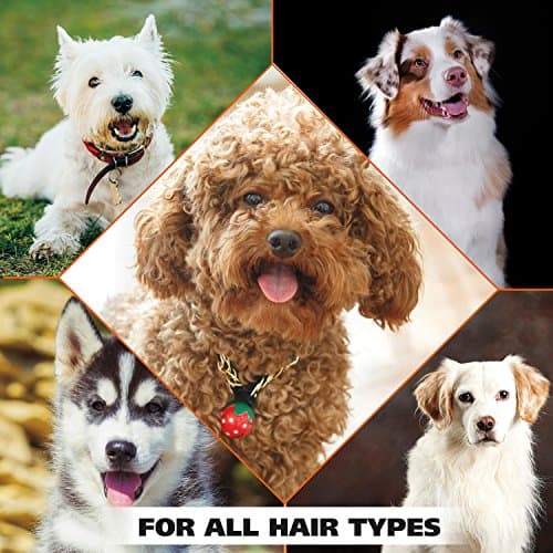 Wahl USA Dry Skin & Itch Relief Pet Shampoo for Dogs – Oatmeal Formula with Coconut Lime Verbena Scent & Pet Friendly Formula, 24 Oz - Model 820004A — view 8