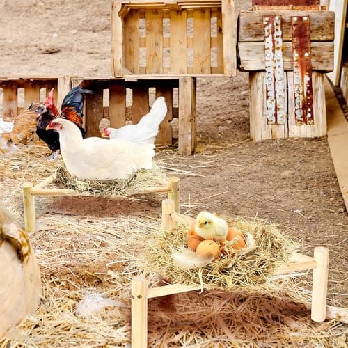 Chicken Perch for Coop & Brooder, Pine Wooden Chicken Toys & Coop Accessories for Chicken Triangular Gym Roosting Bar for Large Hens Parrots Birds, Natural Poultry Stand Chicken Nesting Support — view 5