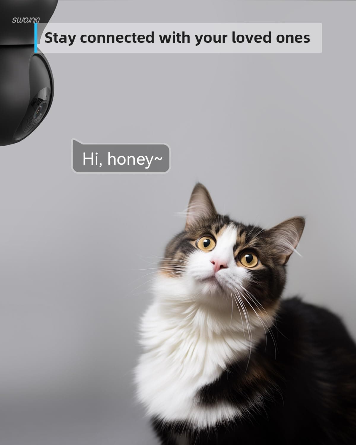 blurams Pet Camera 2K Black, Indoor Camera, Dog Camera, 360° Home Security Camera, 2.4g & 5g, Night Vision, Motion Tracking,  — view 4