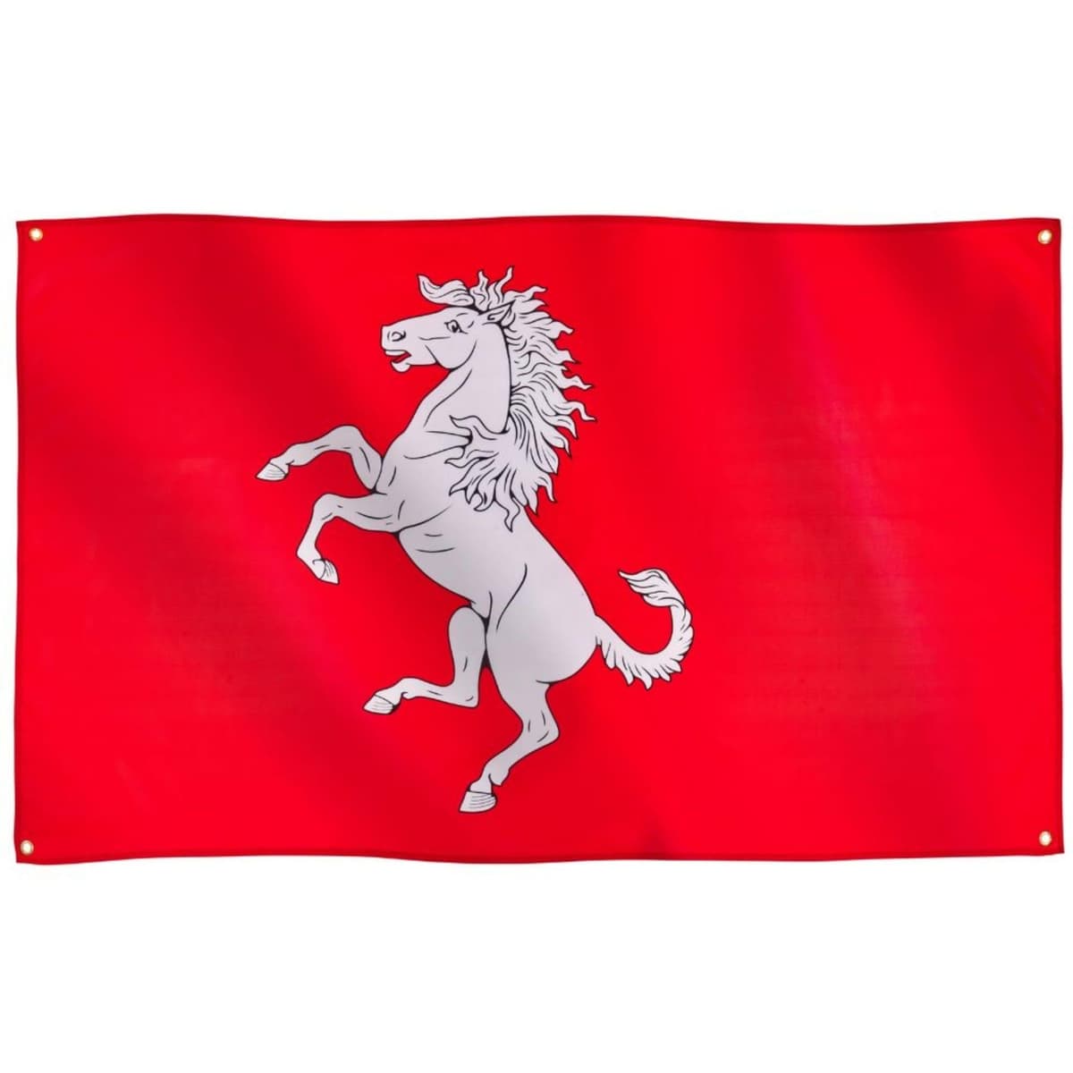 Runesol Lest We Forget, Premium Remembrance Poppy Day Flag - 3ft x 5ft, 4 Grommets, Indoors/Outdoors — view 269