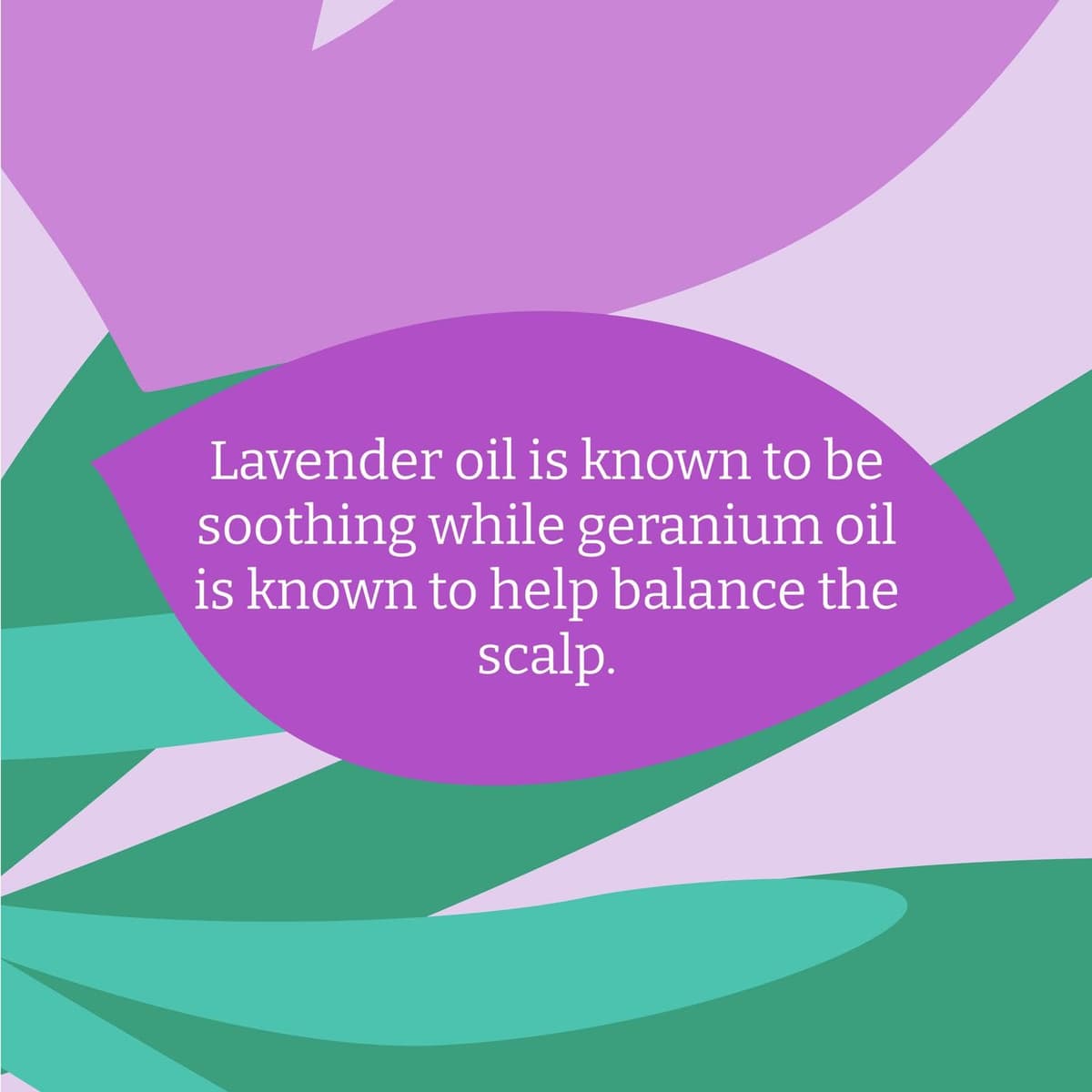 Faith In Nature Natural Lavender & Geranium Shampoo, Balancing for Normal Hair & Scalp, Vegan & Cruelty Free, No SLS, Silcones or Parabens, 400ml — view 6