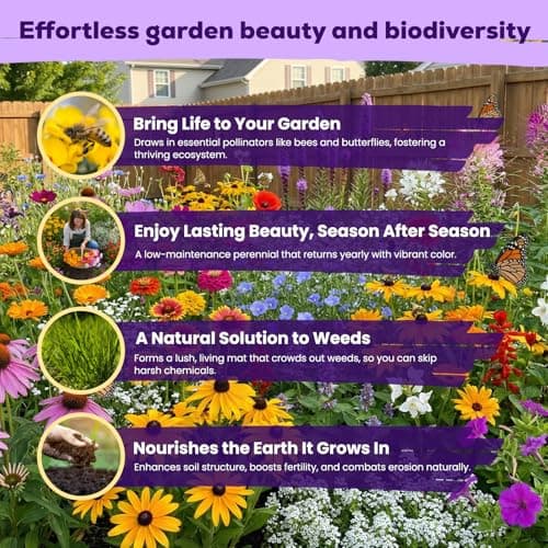 200,000+ Wildflower Seeds Bulk (4oz) – 16 Varieties Perennial & Annual Mix, Attract Bees, Butterflies & Hummingbirds, High Germination for Outdoor Pollinator Garden, Unique Gift for Mother, Women, Mom — view 2