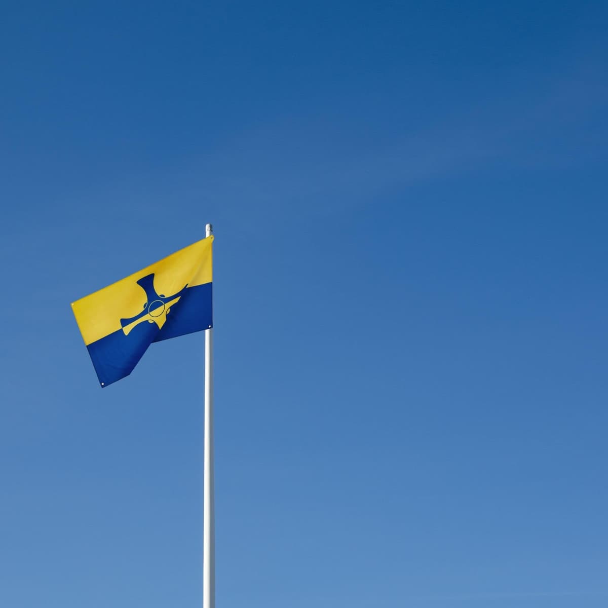 Runesol Cornwall Flag - 91x152cm, 3ft x 5ft, Cornish Flag, 4 Grommets, Eyelet in Every Corner, Premium Quality, Inside & Outside Use, Vivid Colours — view 956