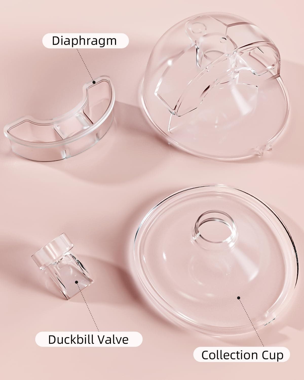 KISSBOBO Vaso colector de leche K6 – Repuestos para extractor de leche compatible con KISSBOBO K5, fácil de limpiar, cómodo de llevar, diseño a prueba de fugas — view 4