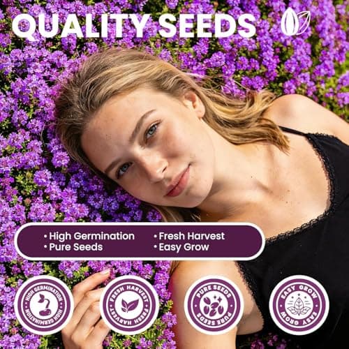 Fruivity 20000+pcs Purple Creeping Thyme Seed for Planting, Heirloom Perennial Ground Cover Flowers Seeds, Lawn Alternative, Fragrant Herb Seeds for Lawns & Paths Garden Backyard — view 3