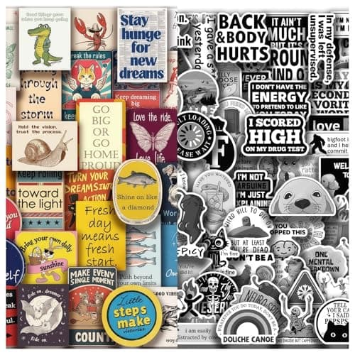 100 PCS Funny Stickers for Adults, Waterproof Vinyl Sticker Pack, Vintage Patchwork Positive + Chaos Meme Negative, Positive + Negative Contrast Decals for Laptop, Water Bottle, Journal