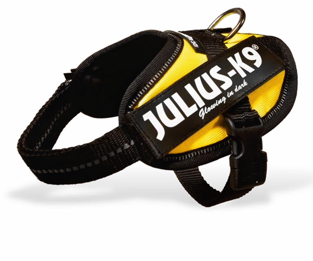Julius-K9, 16IDC-AM-M, IDC Powerharness, dog harness, Size: Mini, Aquamarine — view 46