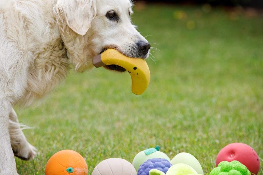 Petface Latex Apple Soft Chew Dog Toy, Small — view 4