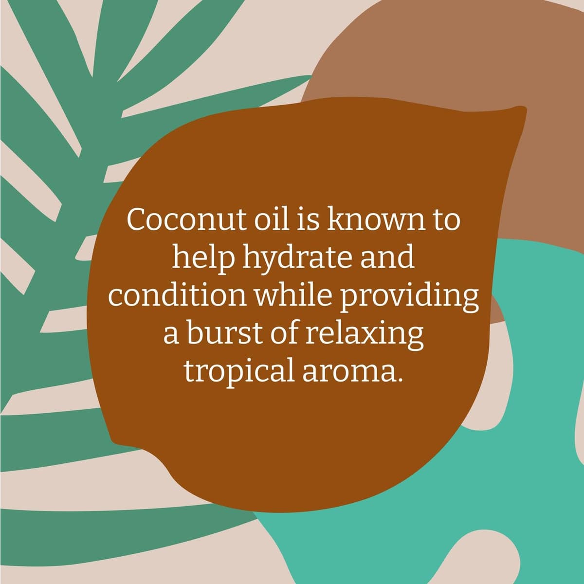 Faith In Nature Organic Coconut Conditioner, Hydrating for Dry Hair & Scalp, Vegan & Cruelty Free, No SLS, Silicones or Parabens, 400ml — view 6