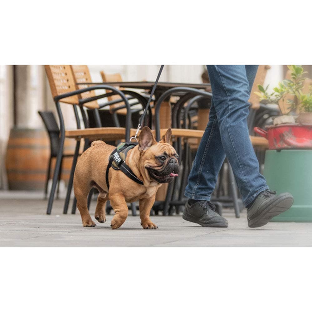 Julius-K9 IDC Powerharness, Camouflage, M/0 — view 3