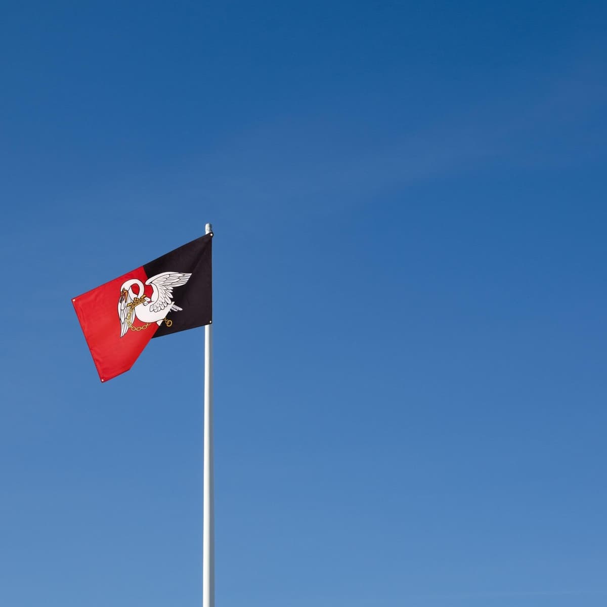 Runesol Cornwall Flag - 91x152cm, 3ft x 5ft, Cornish Flag, 4 Grommets, Eyelet in Every Corner, Premium Quality, Inside & Outside Use, Vivid Colours — view 1128