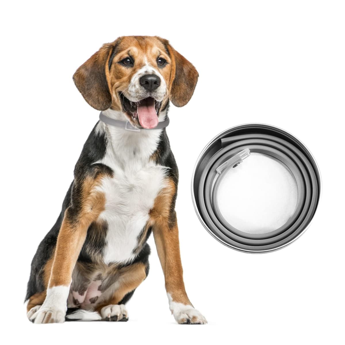 DEWEL Collar contra Pulgas y Garrapatas para Perros Grandes Medianos y Pequeños, Collar Antiparasitario para Perros 8 Meses de Protección, Control Antipulgas para Mascotas de 63,5 cm Gris 1 Unidad — view 2