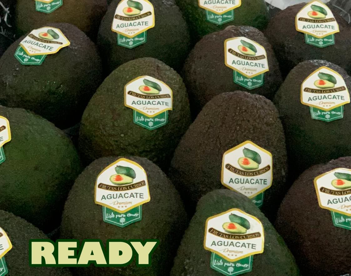 Aguacate Hass Pack 4 kg nacional Punto de Maduración (READY) - Compra Aguacates Hass seleccionados uno por uno para ti. Aguacates frescos. — view 5