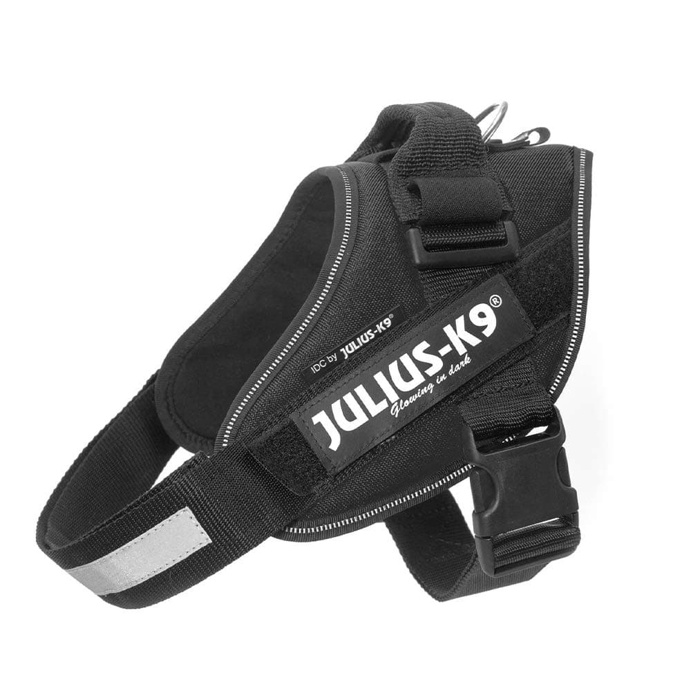 Julius-K9, 16IDC-AM-M, IDC Powerharness, dog harness, Size: Mini, Aquamarine — view 352