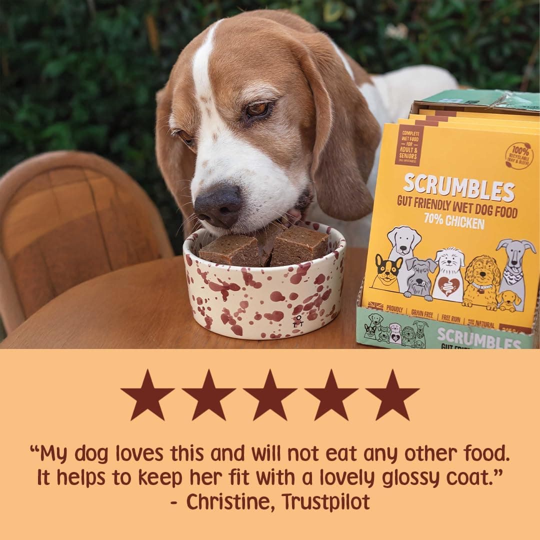 Scrumbles Natural Wet Dog Food, Grain Free Recipe with 70% Chicken and Slippery Elm, 7x 395g,package may vary — view 4