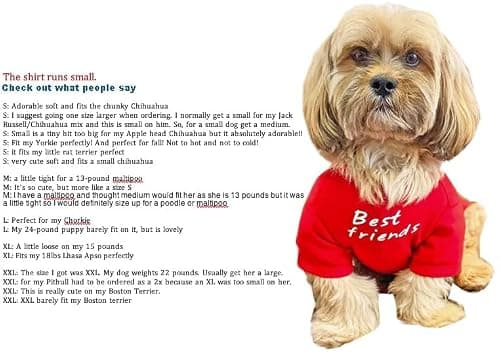 Cute Dog Clothes, T Shirt for Medium and Small Dogs Girl Boy,Puppy.Breathable Soft Dog Costume for Pet Dogs Cats, Pet Pullover Jumper, Cat Clothes (L-(10~17lb), Chest~18", Khaki) — view 3