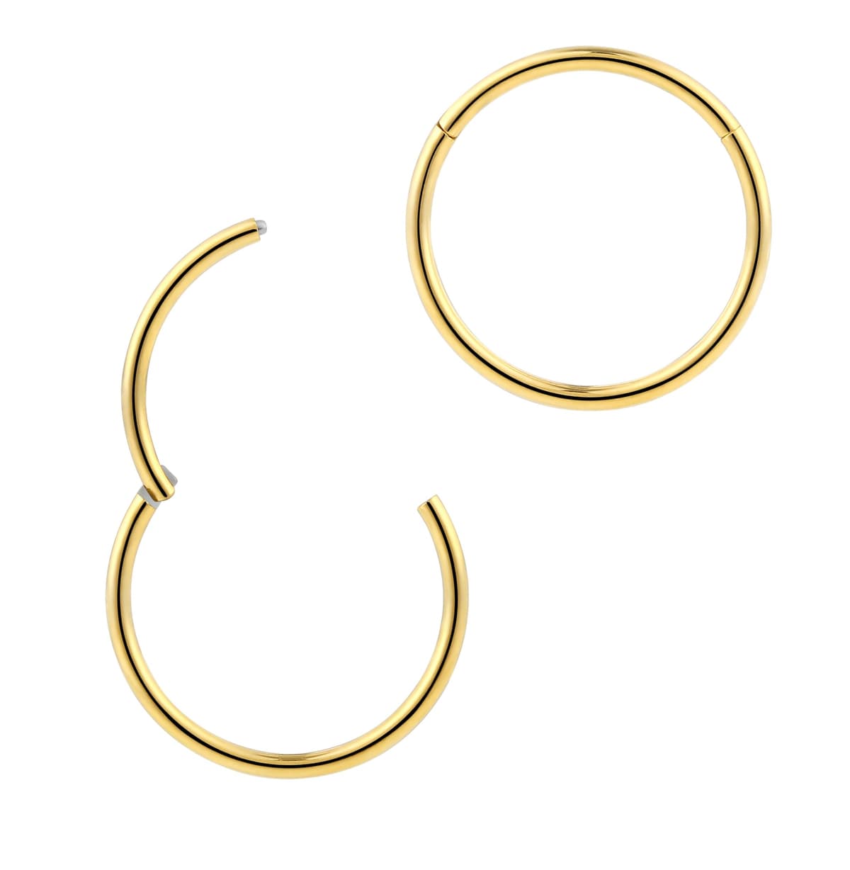 365 SLEEPERS 1pc Titanium Implant Grade Nose Rings 20G 18G 16G 14G 12G 10G 8G 6G Septum Hinged Segment Ring Body Piercing Jewellery Hoop Lip Rings Helix Cartilage Rook Earrings Nickel Free — view 15