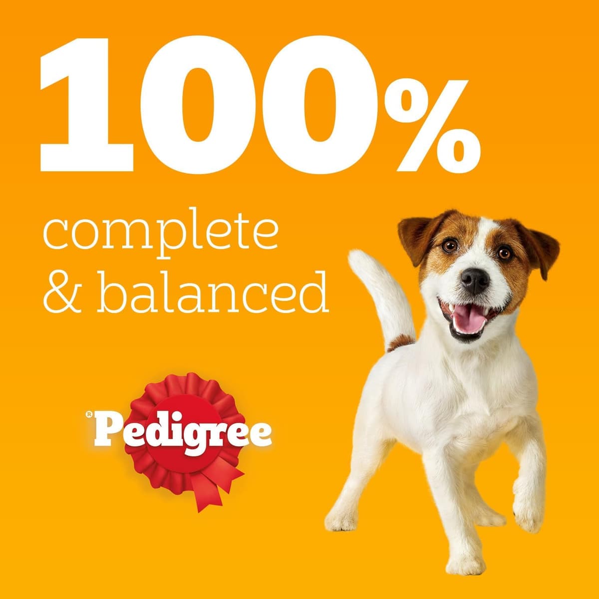 Pedigree Adult Dog Wet Food Pouch Mixed Selection in Gravy, 40x100g — view 4