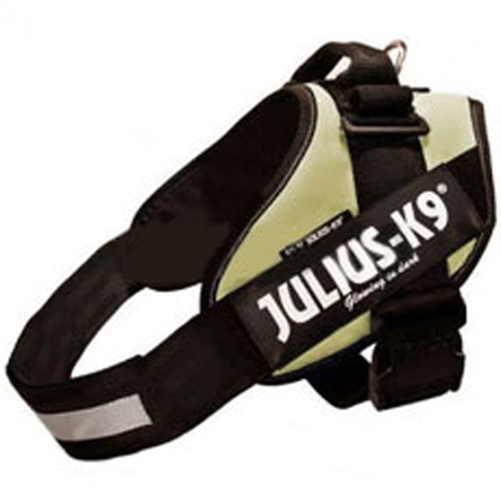 Julius-K9, 16IDC-AM-M, IDC Powerharness, dog harness, Size: Mini, Aquamarine — view 286