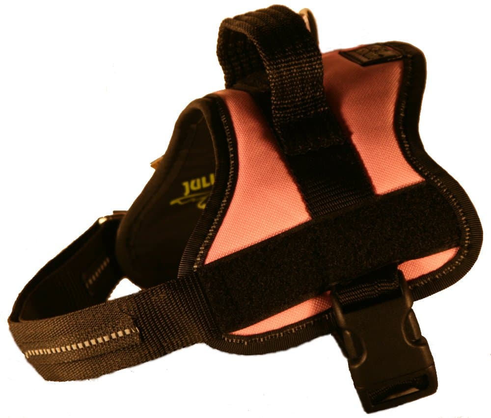 JULIUS-K9Powerharness, Size: S/Mini, Black — view 52