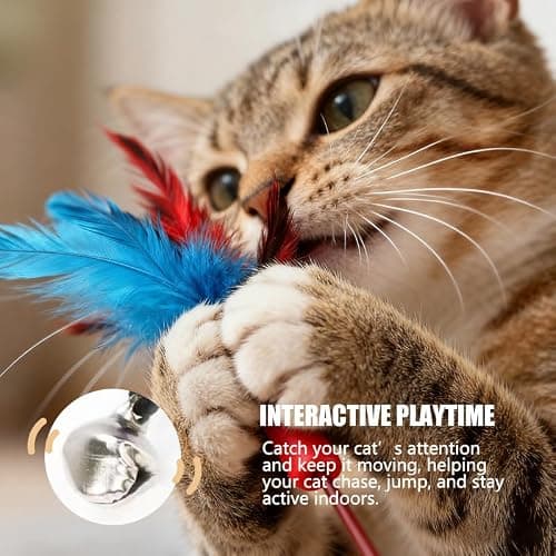 PLumeLux Cat Toys Set, 2 Retractable Wand with 9 Feather Toys Refills Catcher and Interactive Funny Exercise for Indoor Kitten — view 2